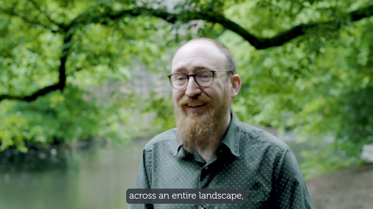 How many species use Sitka spruce trees? Findings from the DiversiTree research project