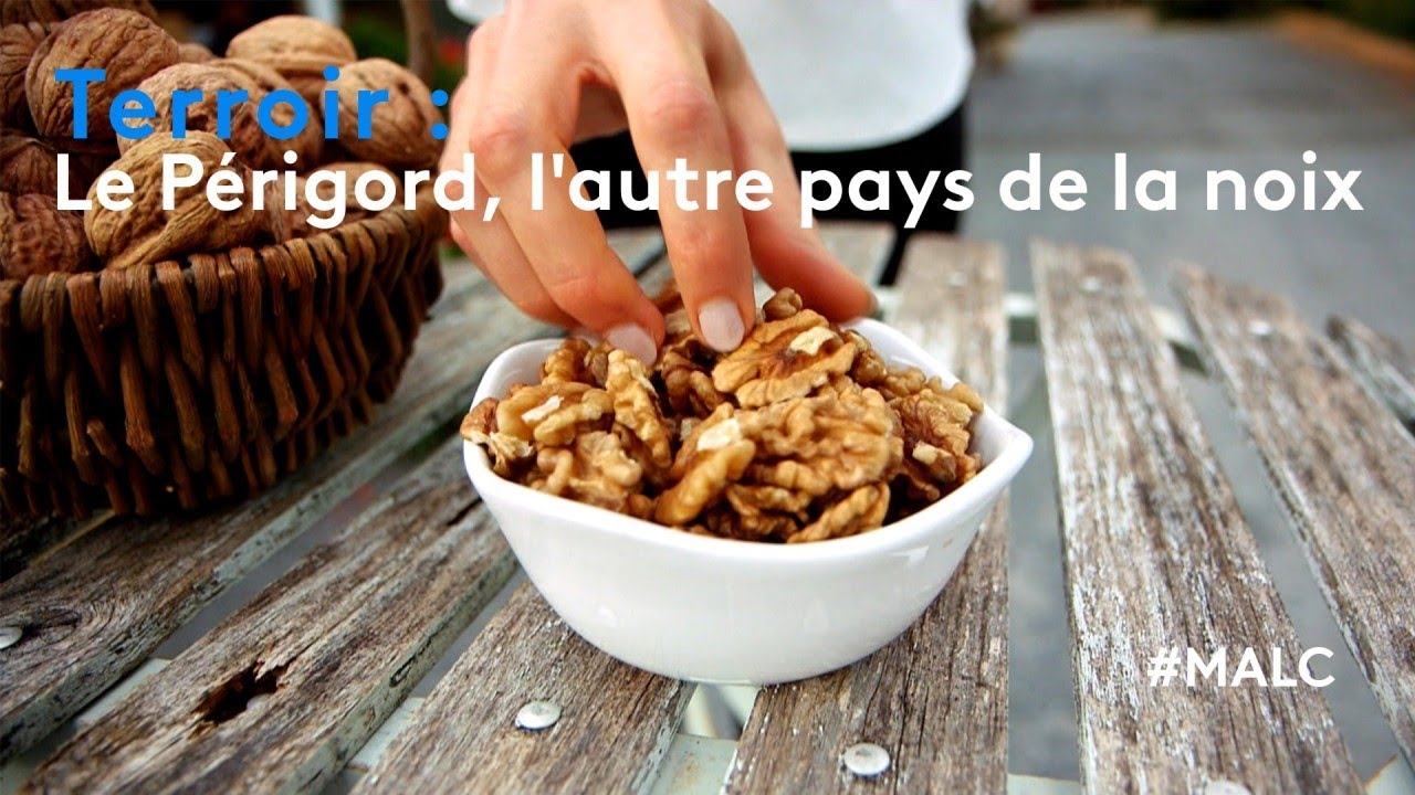 Terroir : le Périgord, l'autre pays de la noix