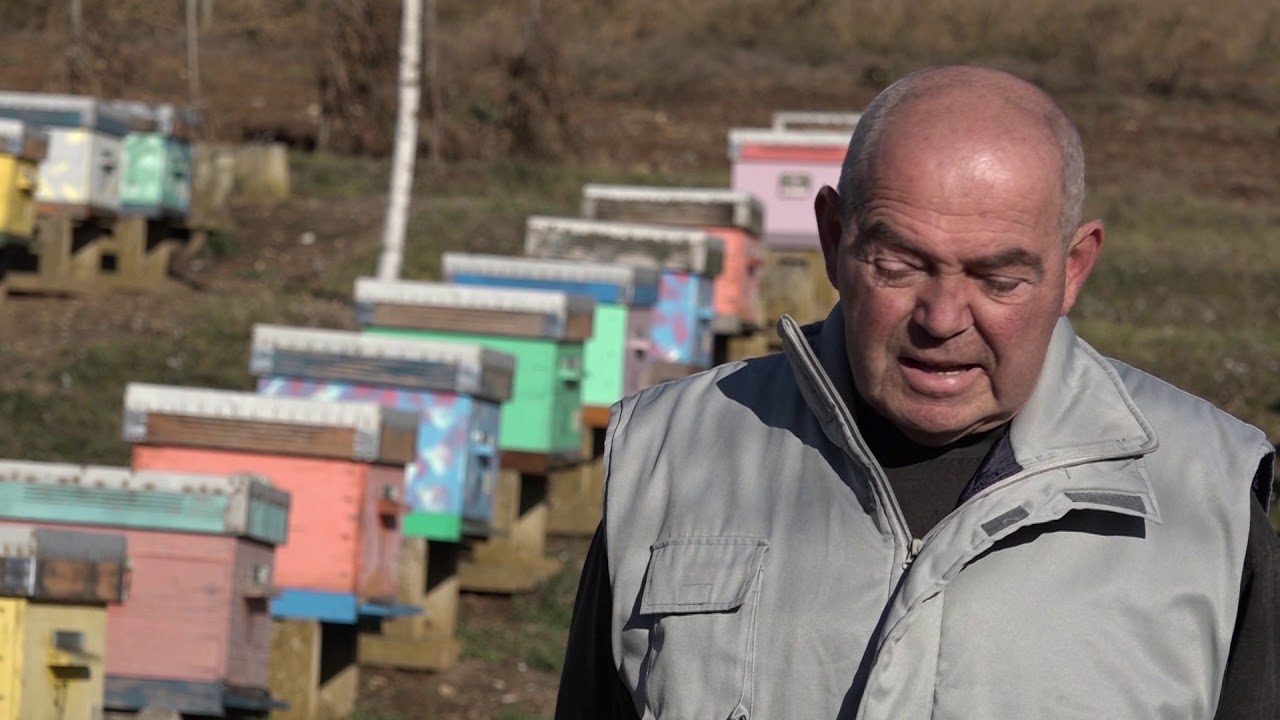 Naša priča ep. 178 18.01.2019. - Pčelarstvo, Oplanić kod Knića