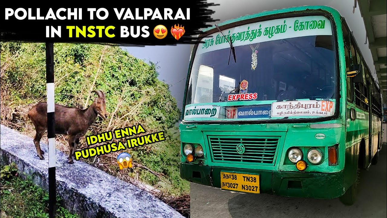 💢🐯First Travel in Tiger Reserve😱| Pollachi to Valparai journey in TNSTC Green Bus 😍| Vlog- 206