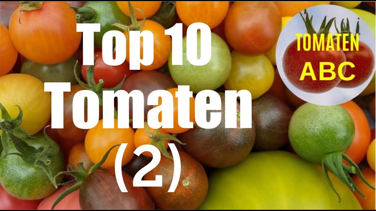 Top 10 Tomaten - die leckersten Tomaten weltweit (2)