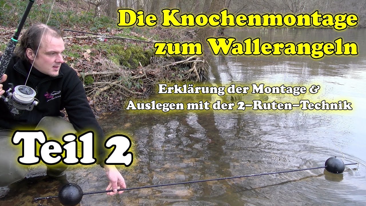 Knochenmontage zum Wallerangeln - Erklärung des Wallerknochens & Ausbringen mit der 2-Ruten-Technik