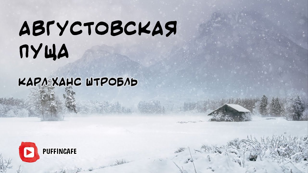 Der Wald von Augustowo 1915 Карл Штробль аудиокнига мистика рассказ истории у костра на ночь байки