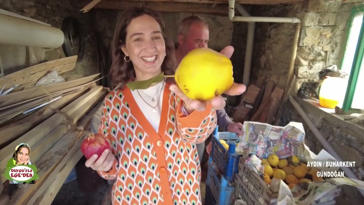 AYDIN - BUHARKENT - GÜNDOĞAN