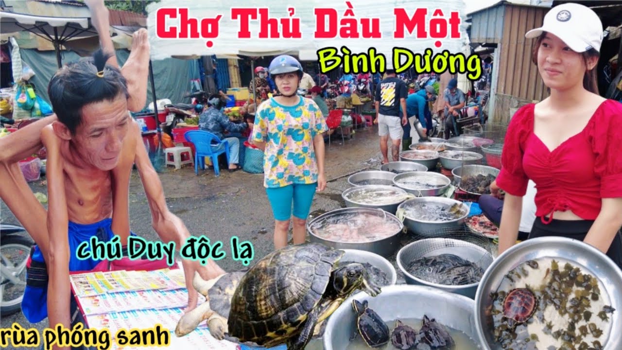 Gặp Chú Duy Độc Lạ Bình Dương ở Chợ Thủ Dầu Một bán nhiều rùa rằm tháng 7