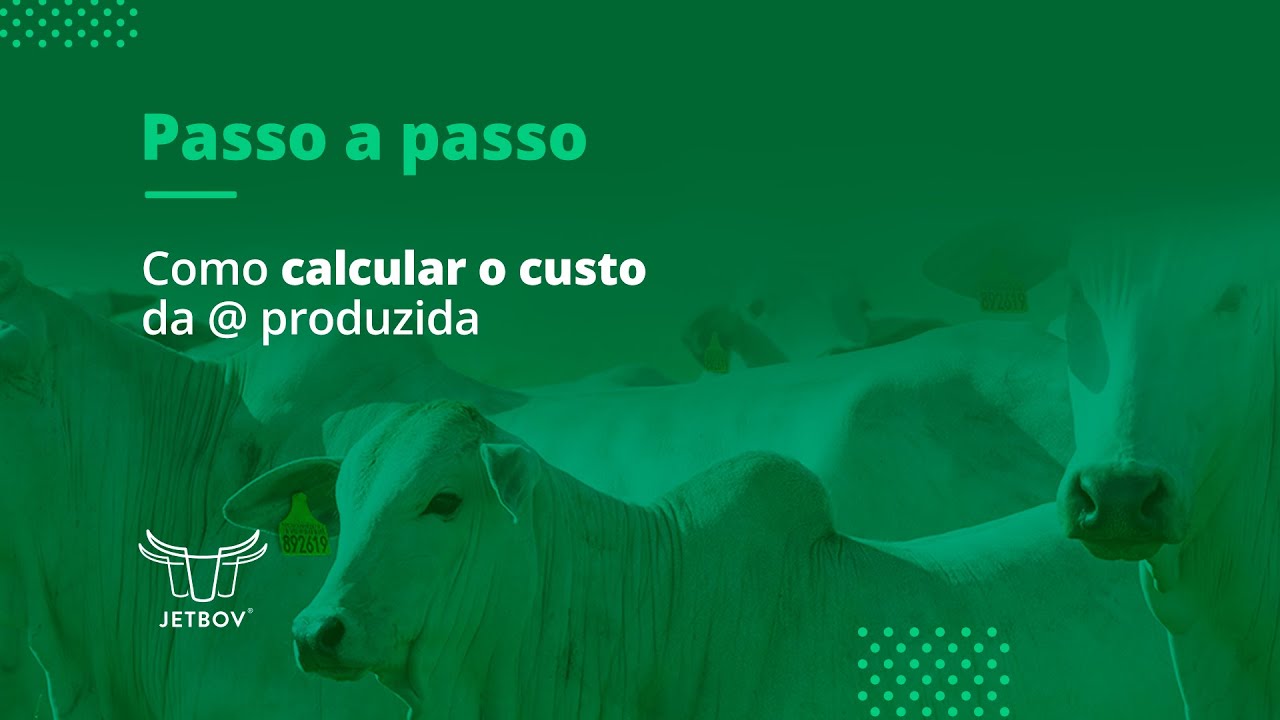 Passo a passo - Como calcular o custo da @  produzida