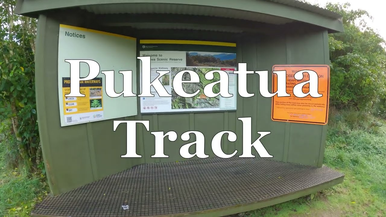 Pukeatua Track - Tararua Forest Park - NZ
