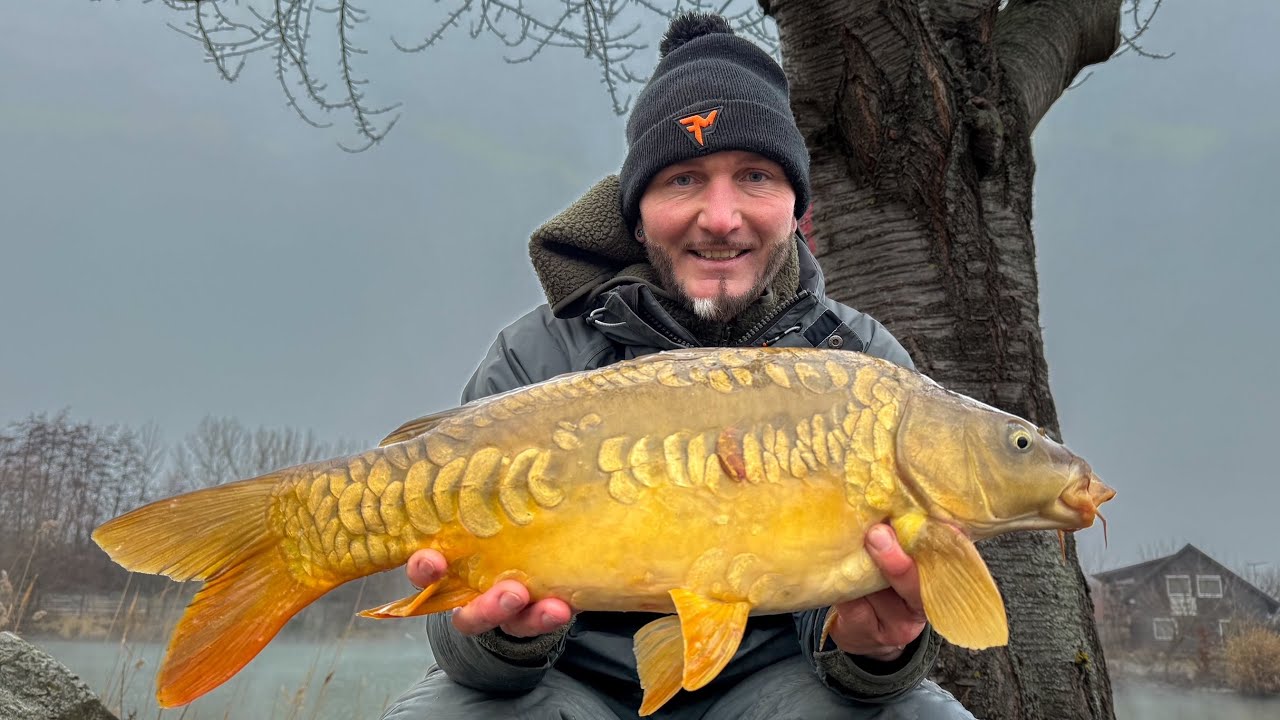FEEDERMANIA - Párkányi Pontyok 2025 januar. Winter Carp Fishing in the thermal water.
