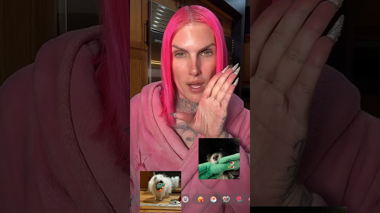 Верблюжий аукцион... #jeffreestar