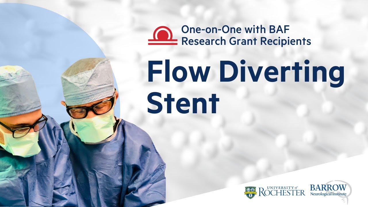 Flow Diverting Stents Explained | Dr. A. Dmytriw, BAF Research Grant Recipient