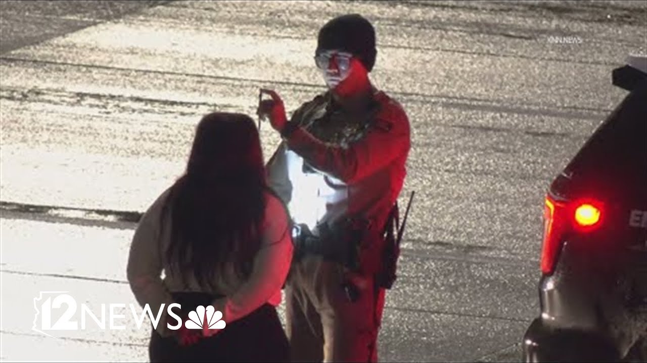 Wrong-way driver stopped by Mesa officer