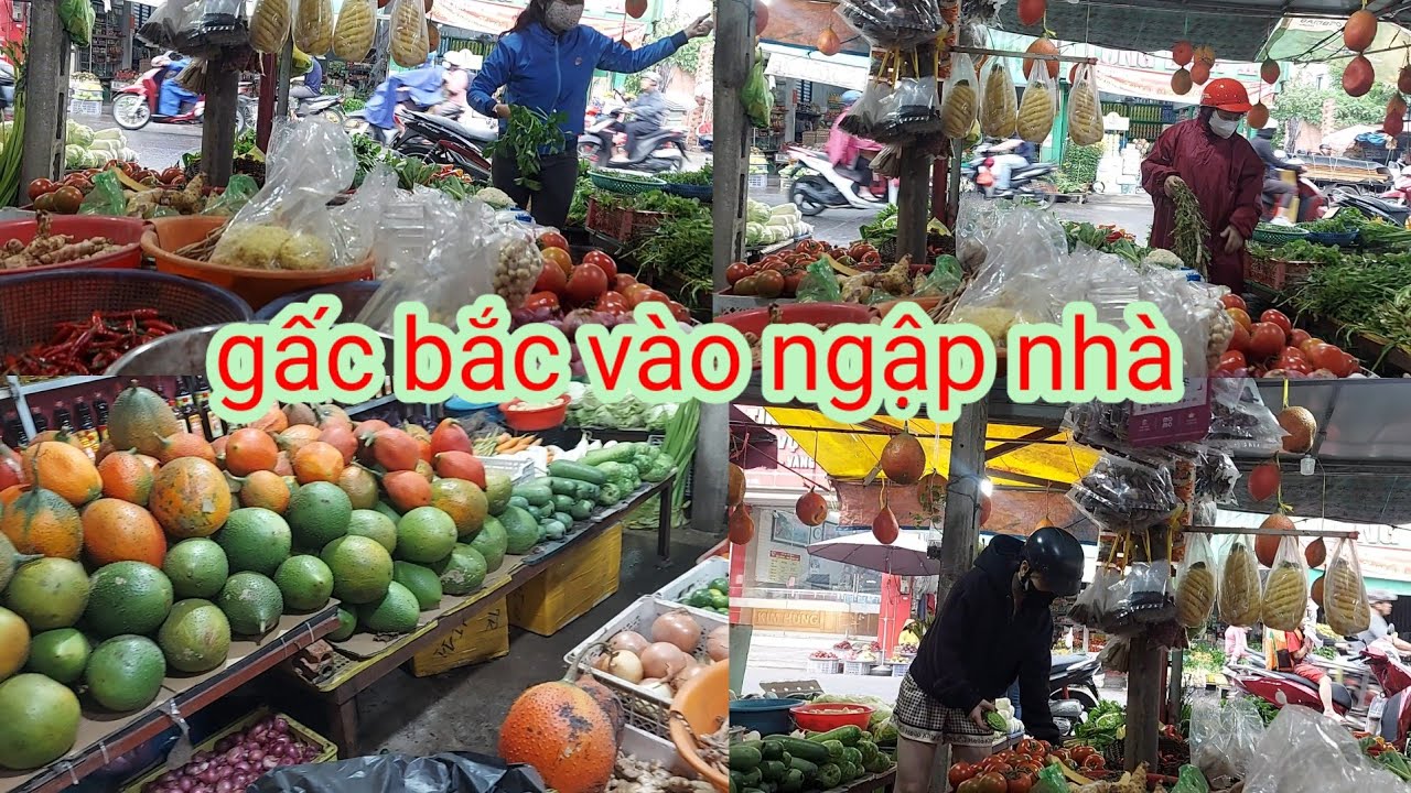 #78 gấc bắc vào ngập nhà 
