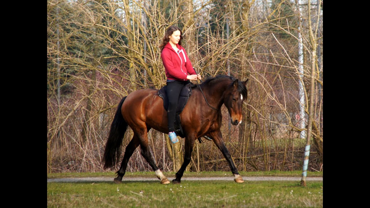 I live to dance with horses..