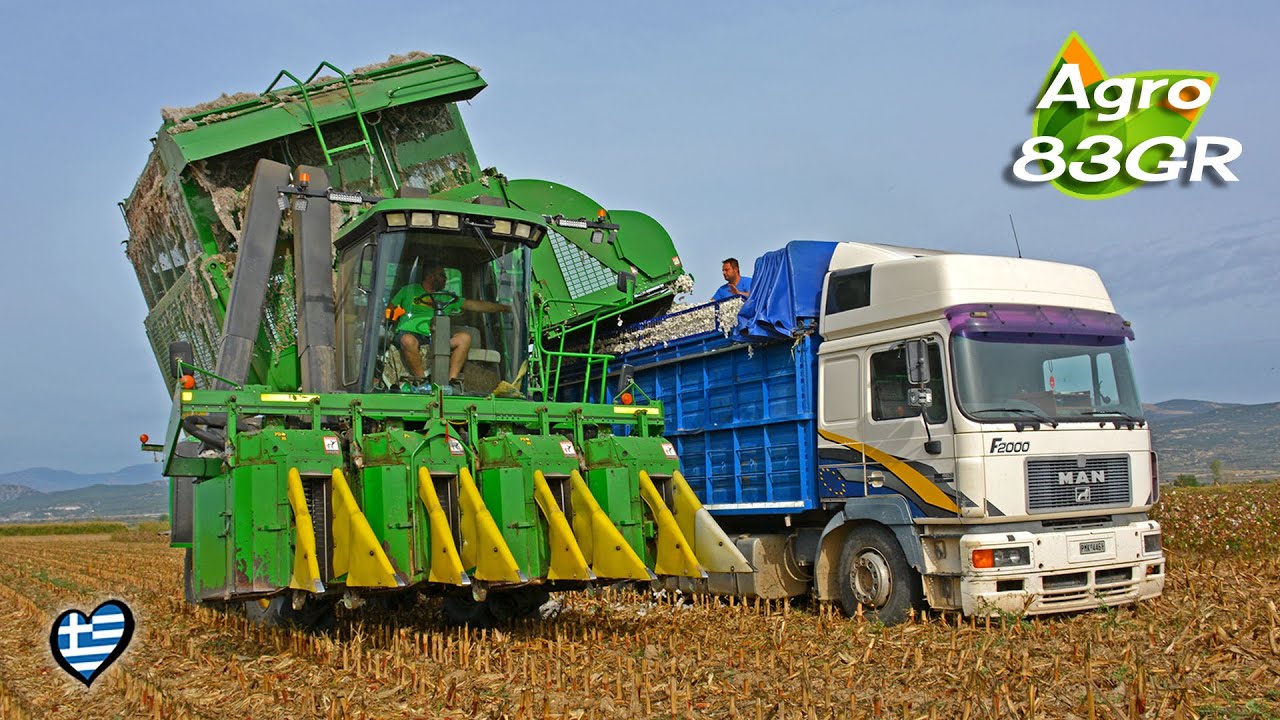 Βαμβάκι Συγκομιδή 2020 ❄️ - ☁️ Cotton harvest (picking)