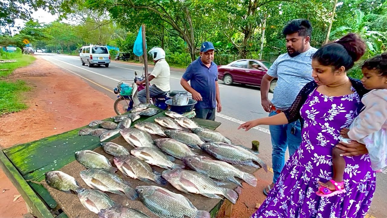 Attractive! Easy Fish Trading Methods for Aesthetic Village Success