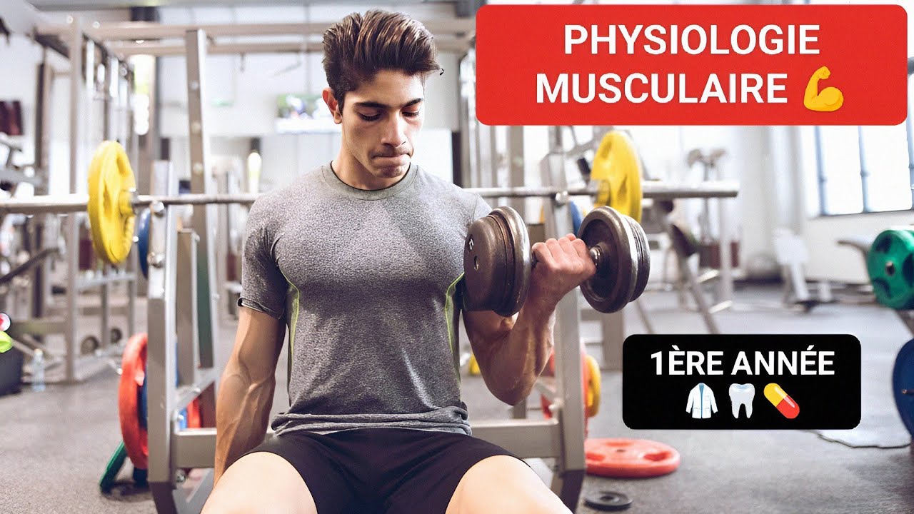 PHYSIOLOGIE ✅: PHYSIO-MUSCULAIRE 1ÈRE ANNÉE (MÉD🥼/ PHARMA💊/CHIR DENT🦷)