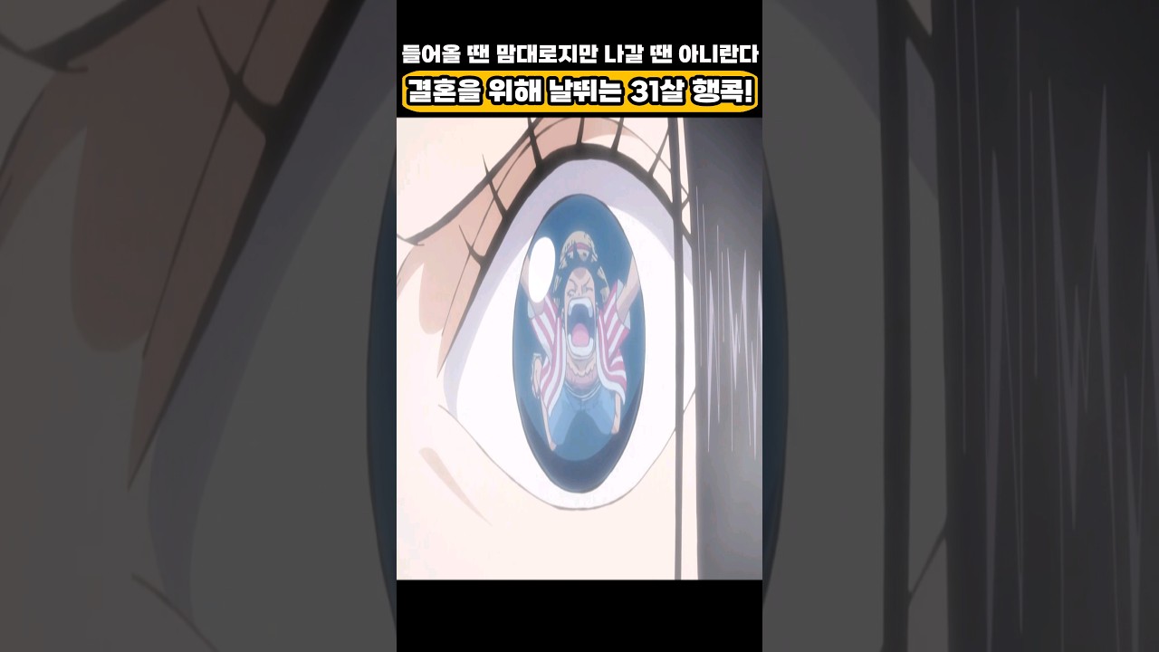 🔥미친 작화🔥 31살 행콕을 덮쳐버린 루피!
