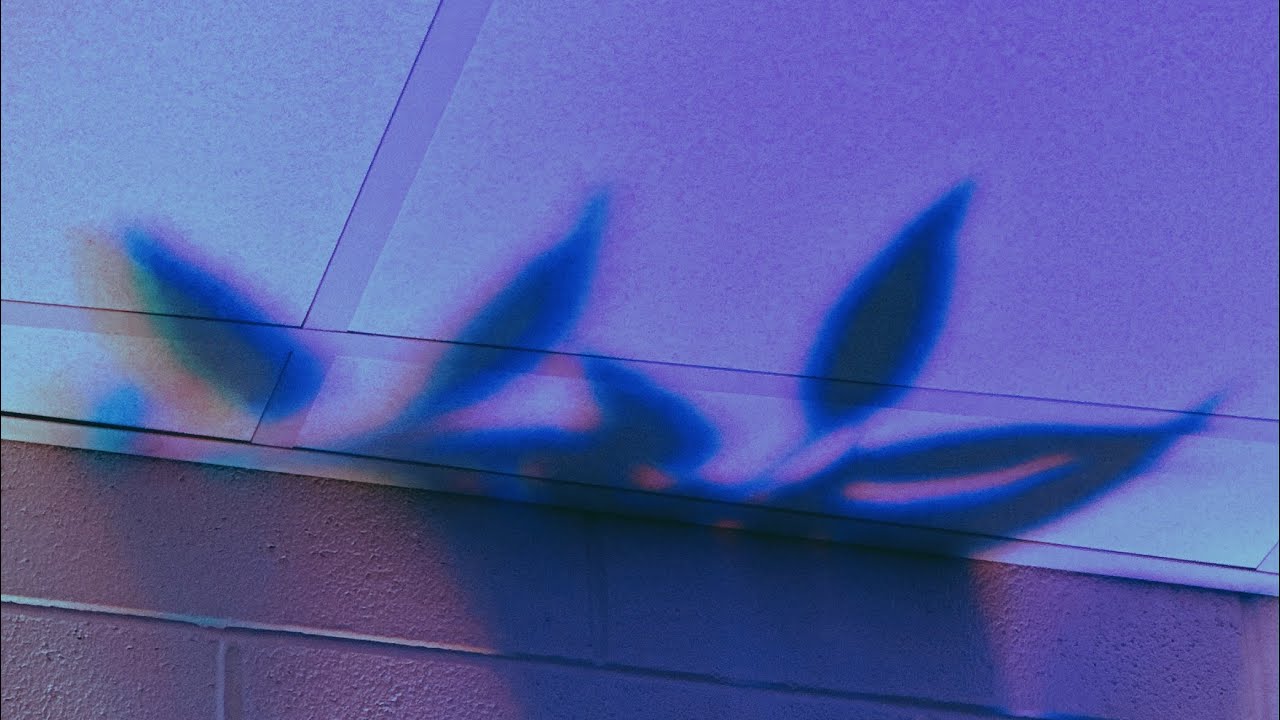 Fall Into My Arms Again (Audio)