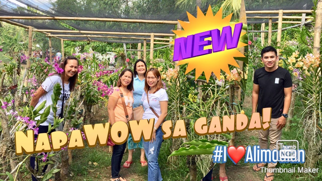 BEAUTIFUL ORCHID GARDEN  IN ALIMODIAN, ILOILO I NEW DISCOVERY
