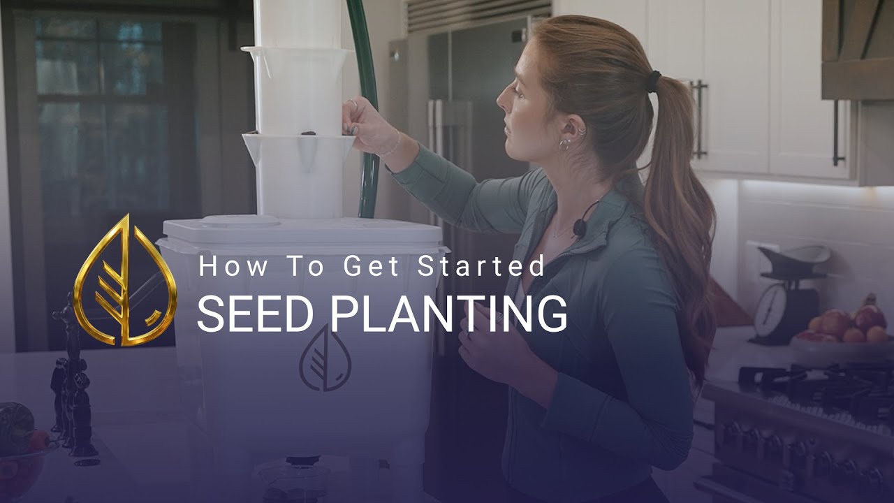 Getting Started Series: Seeding Planting in A Vertical Hydroponic Garden | The Hydra Tower