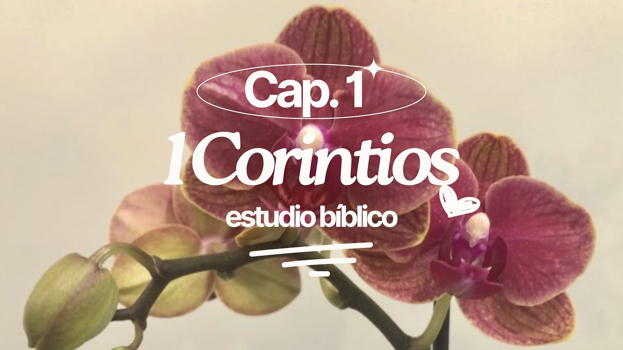 1 Corinthians Chapter 1 &mdash; Bible Study