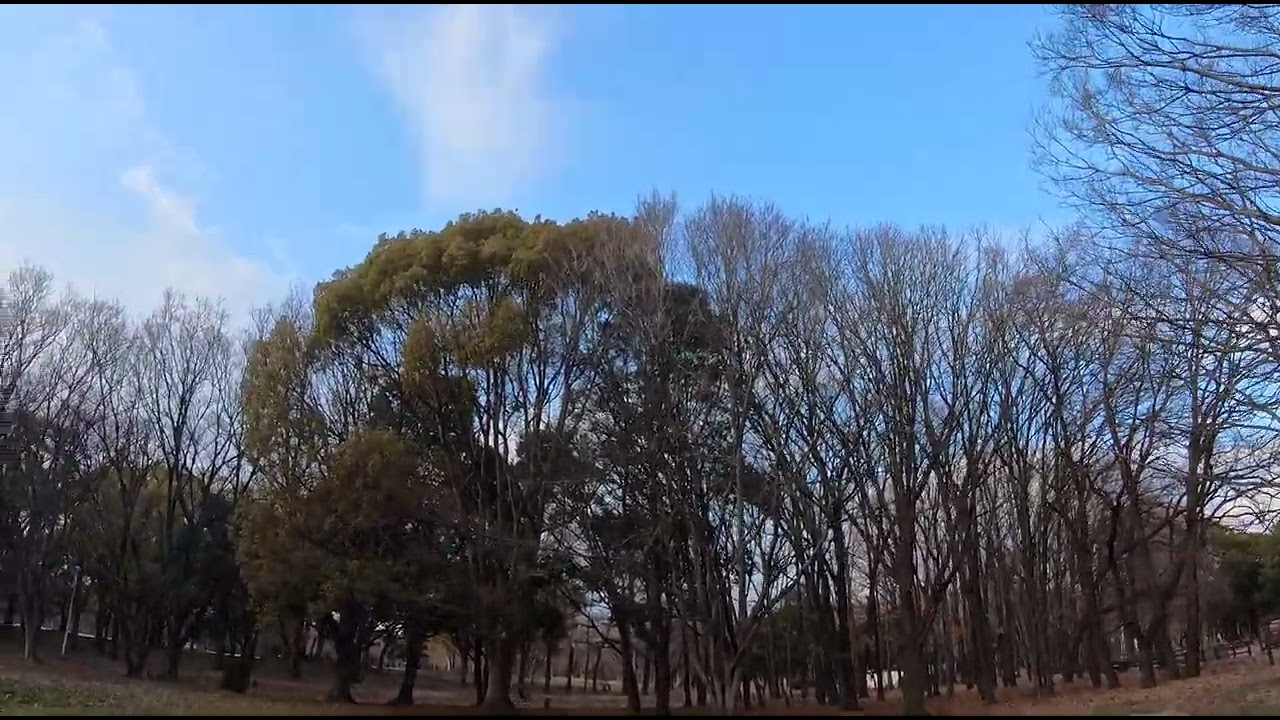 VID 20260130 162350 00 001