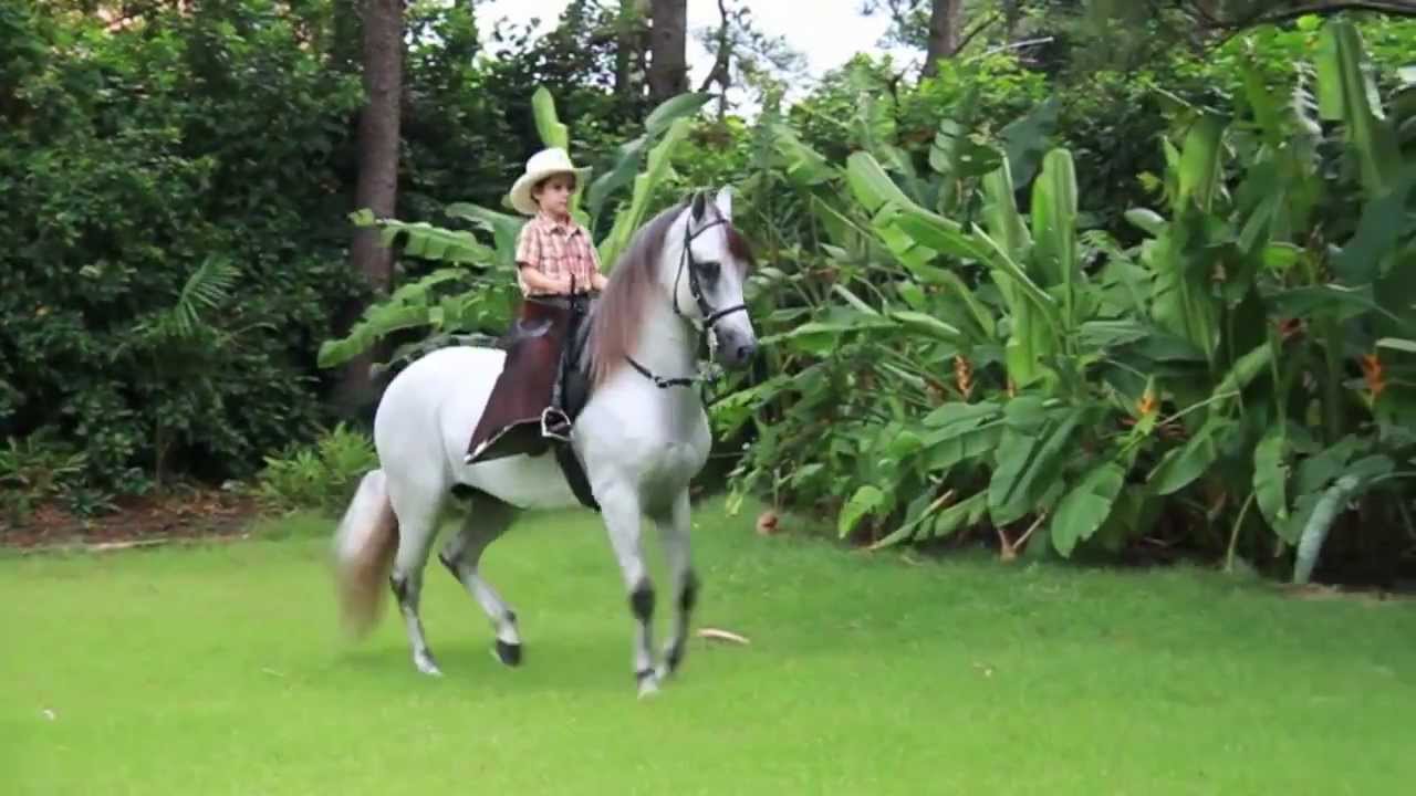 Riachuelo EP Paso Fino