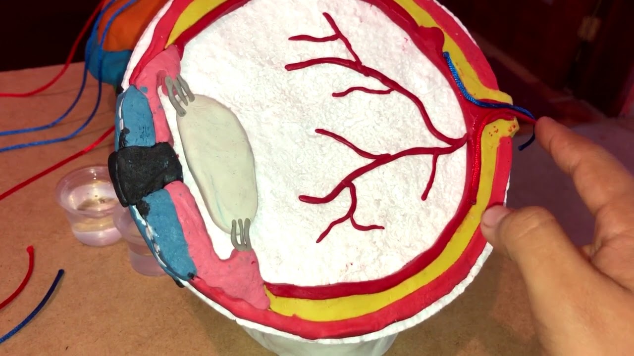 Vídeo explicativo sobre la maqueta del Sistema Visual