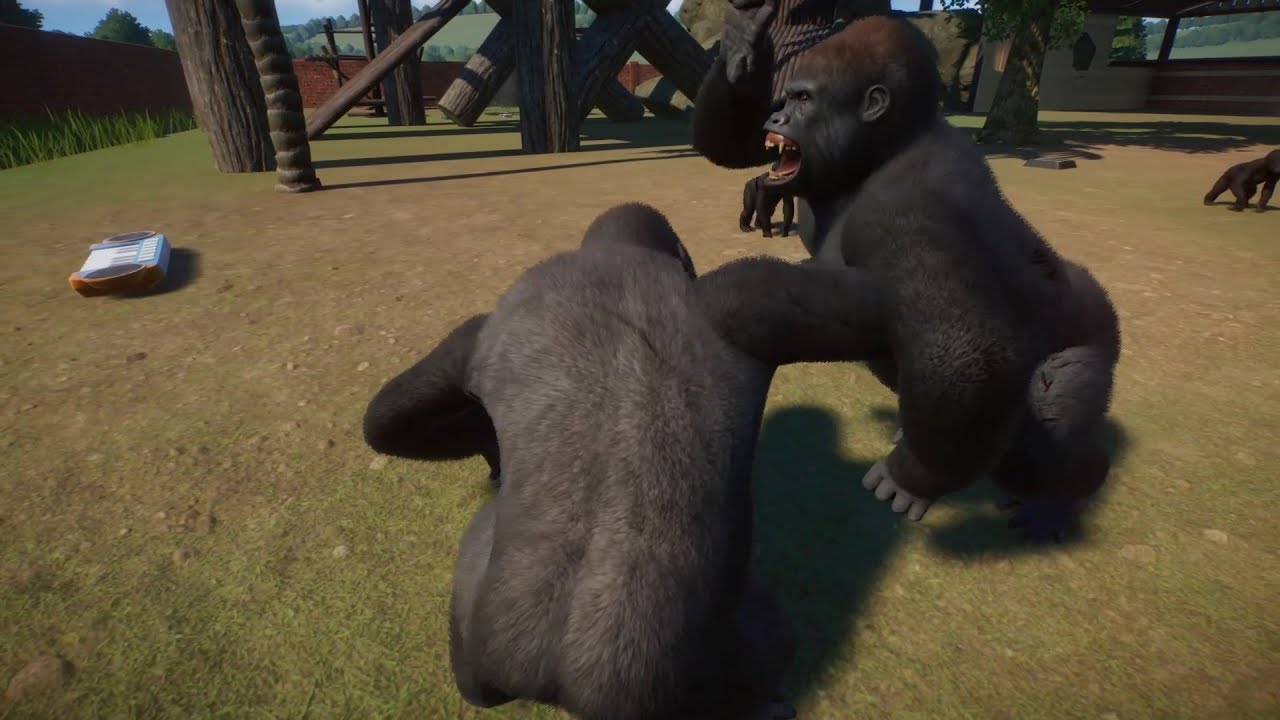 Planet Zoo (PC)(English) #43 Western Lowland Gorilla Fight