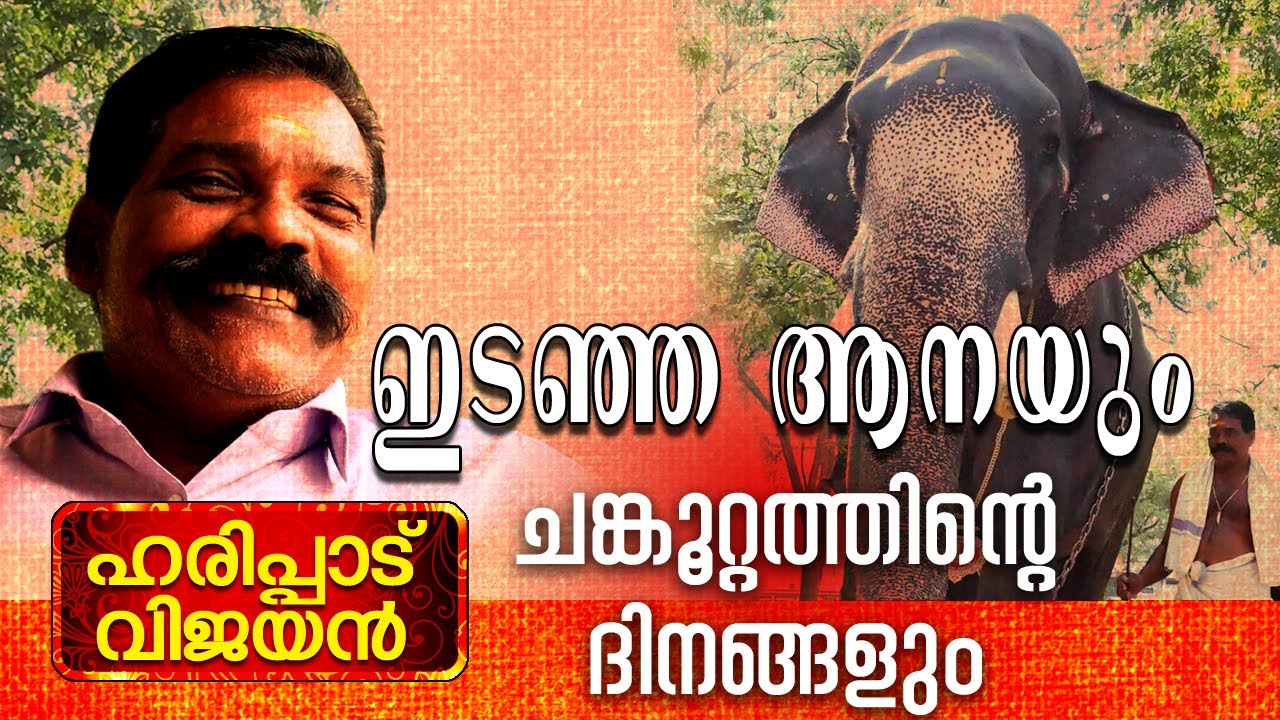 ഇടഞ്ഞ ആനയും ചങ്കൂറ്റത്തിന്റെ ദിനങ്ങളും | Harippad Vijayan | Elephant Frames | PART 2