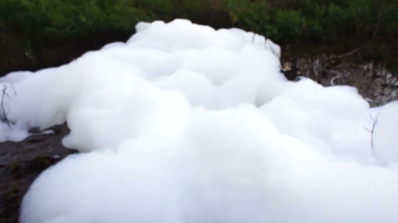 Final effluent produced by UASB reators followed by dissolved air flotation