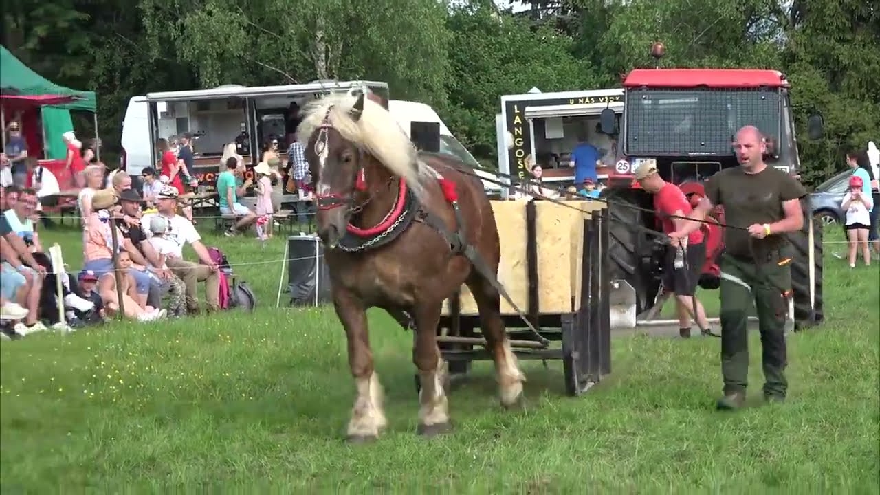 Santus, tretie miesto vo váhovej kategórii 750 - 900kg! (Kľačianska podkova 2024)