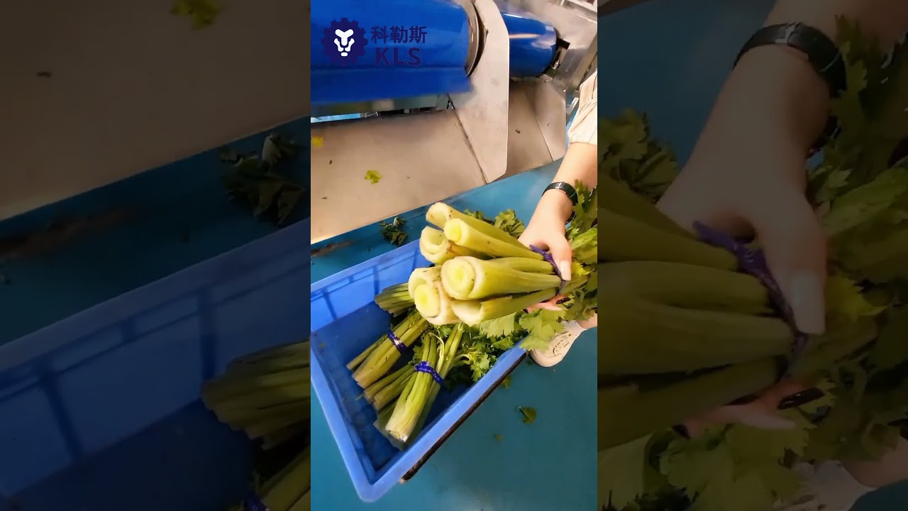 vegetable root cutting machine