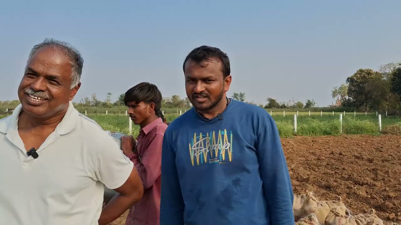 ഗുജറാത്തിലെ ഉരുളക്കിഴങ്ങ് കൃഷിയും സംഭരണവും