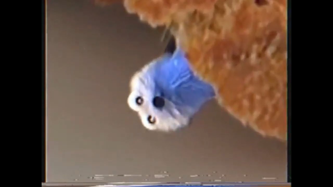 Screaming Blue Thing Meme Compilation (2022)
