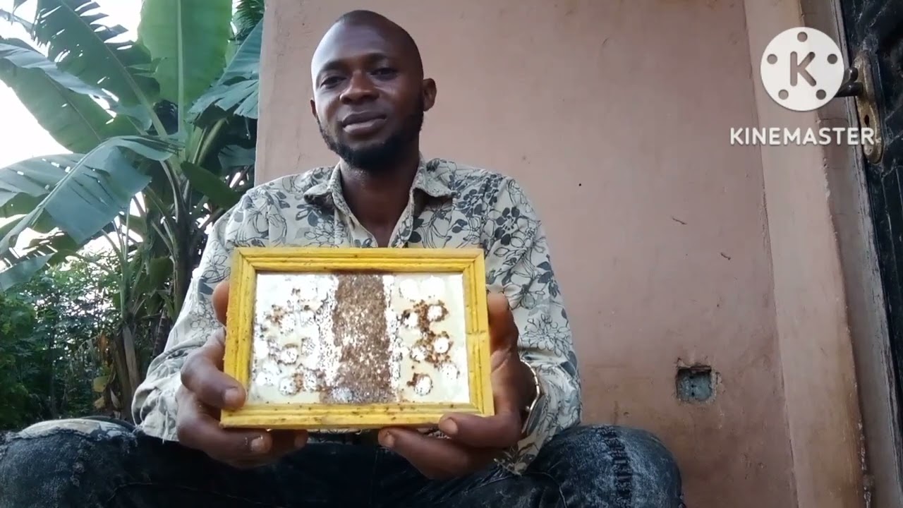 OGUN IFERAN APE