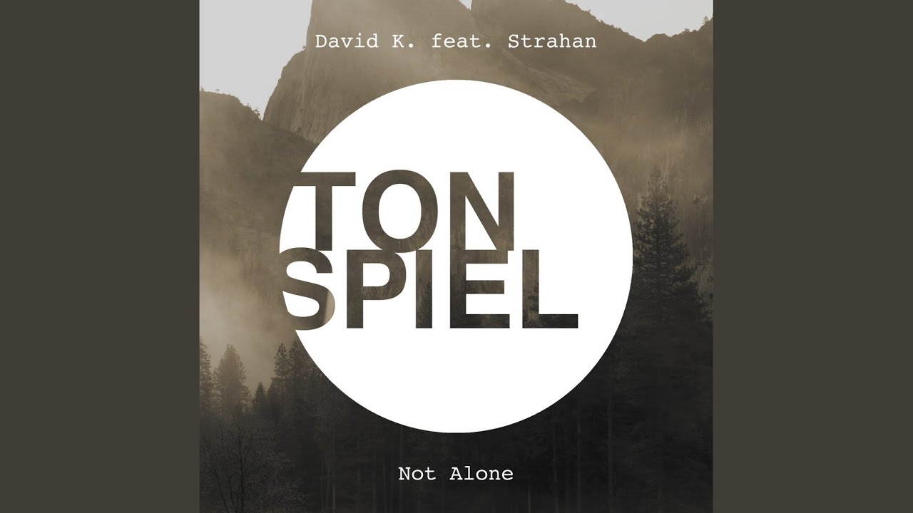 Not Alone (Einsauszwei Remix)