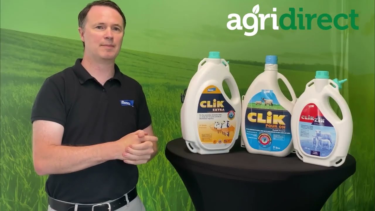 CLiK for Sheep. Preventing blowfly strike.