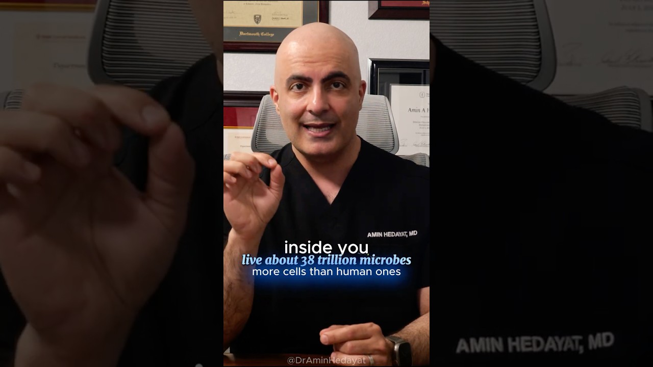 How Gut Bacteria Influences Mood and Immunity 