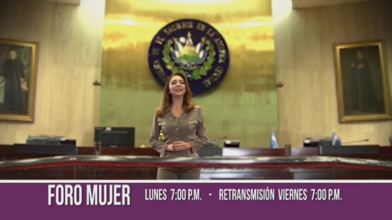 COMISI&Oacute;N  AD HOC PARA EL ESTUDIO  DE REFORMAS  AL SISTEMA  INTEGRADO DE PENSIONES -  30- 06 2020