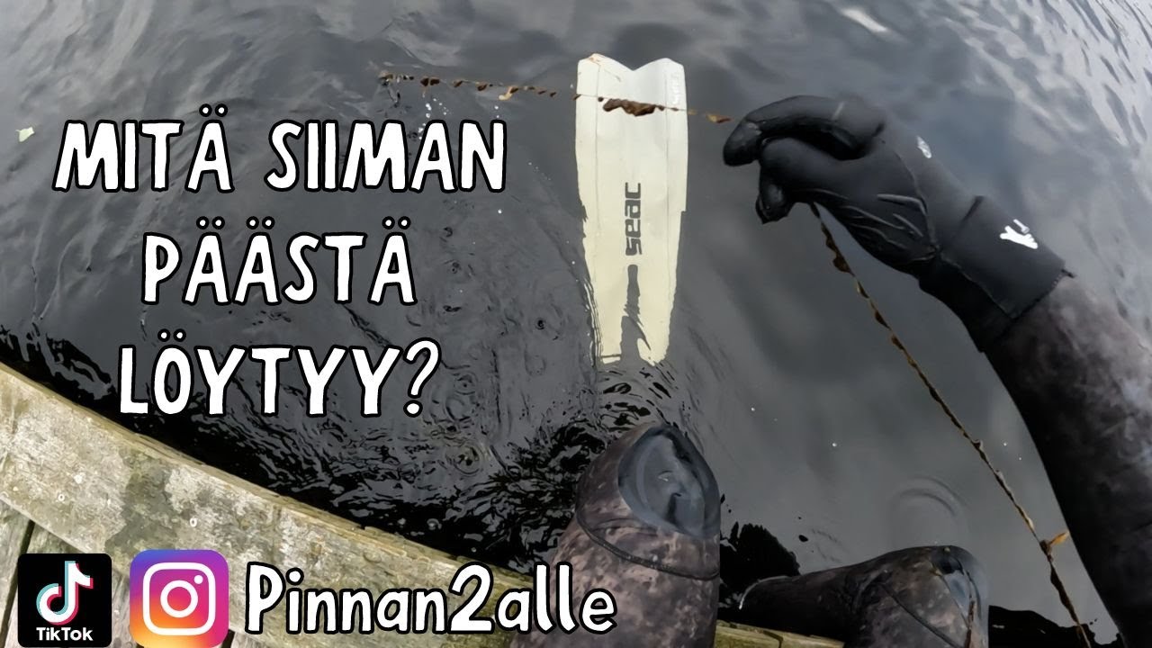 UISTINTEN JA KALOJEN ETSINTÄÄ IMATRAN NEITSYTNIEMESSÄ [Pinnan2alle #17]