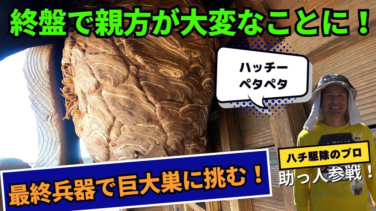 足場の悪い場所にキイロスズメバチの巣。助っ人呼んで楽に駆除！