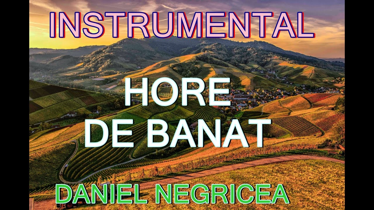 █▬█ █ ▀█▀  HORE DE BANAT. DANIEL NEGRICEA[ DOMN PROFESOR DANCIU]