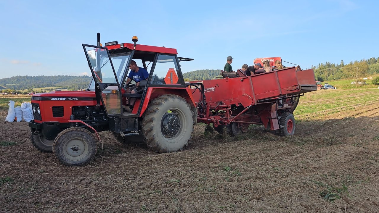Zetor 7011 kombajn grimme, Kubota 8560