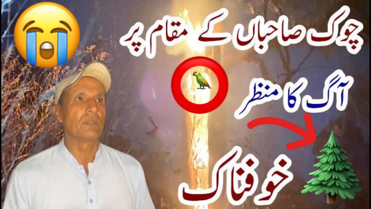 Agg ka manzr chok shahaban k makam pr agg bujany walon Sy bat chet .Afsoosnak khabr🔥😭😭🐜🦅🦜🌲🪲🦗🐿️🦋🔥🔥