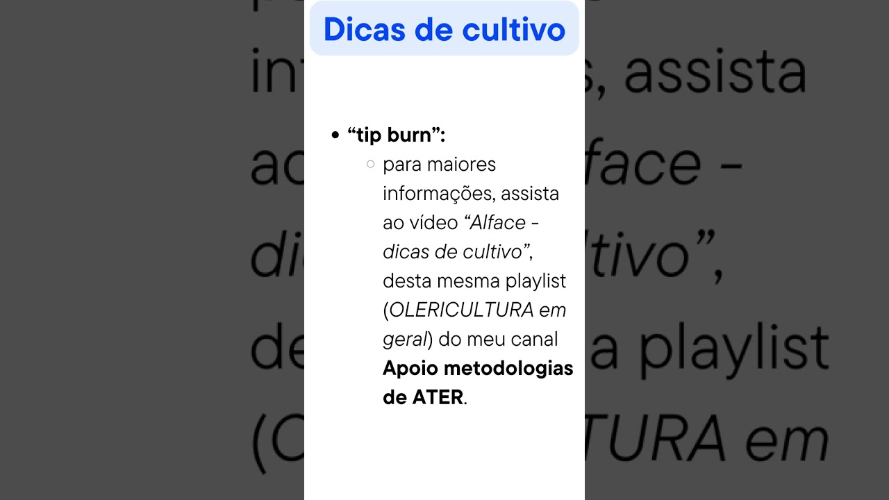 Couve-flor - dicas de cultivo