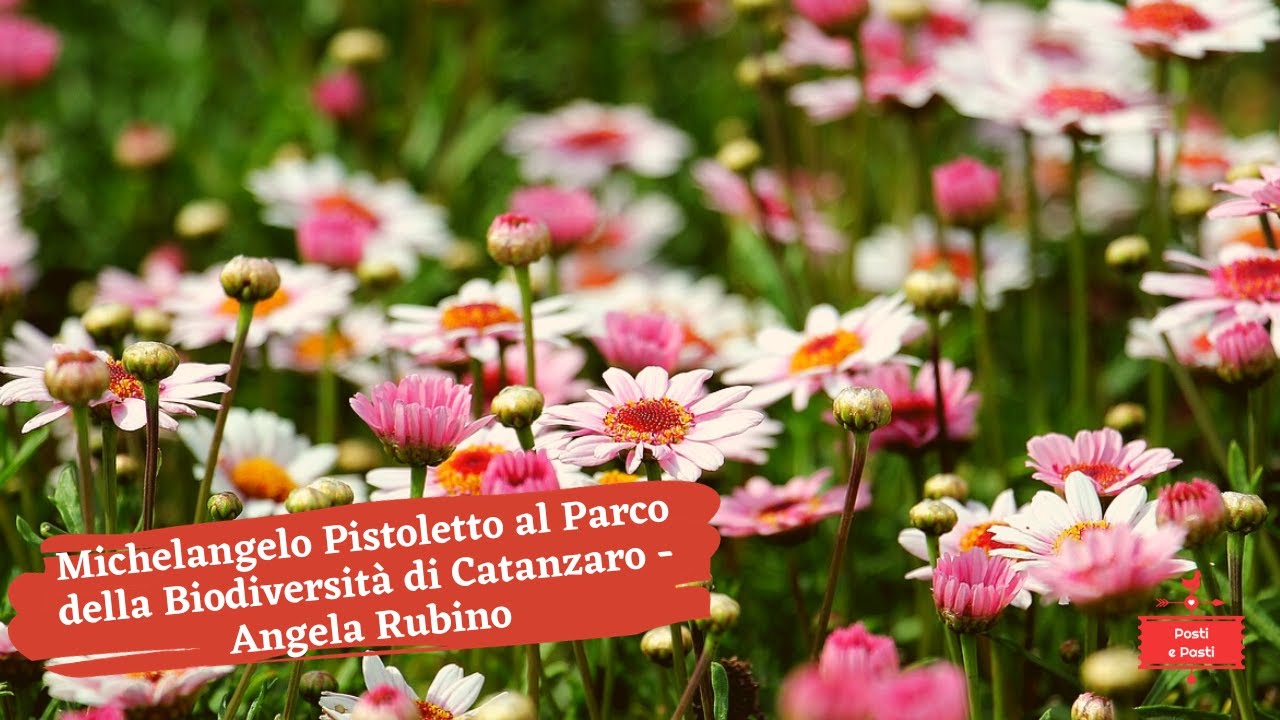 📺 Michelangelo Pistoletto al Parco della Biodiversità di Catanzaro - Angela Rubino