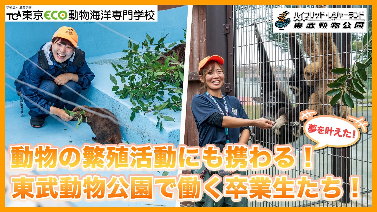 【東京ECO】第２弾❕東武動物公園でパフォーマー、飼育員として活躍する卒業生たちにインタビュー！【TCA東京ECO動物海洋専門学校】