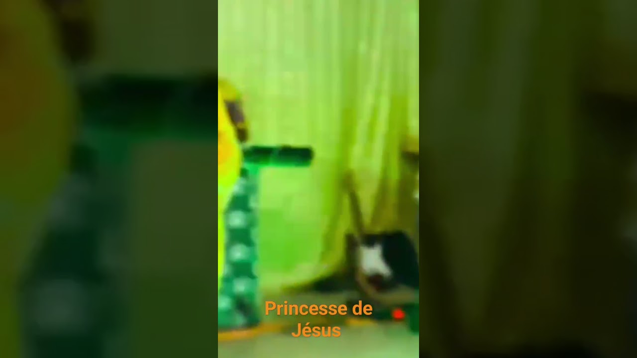 Princesse de J&eacute;sus - Extrait concert Moutourwa [Live Performance]