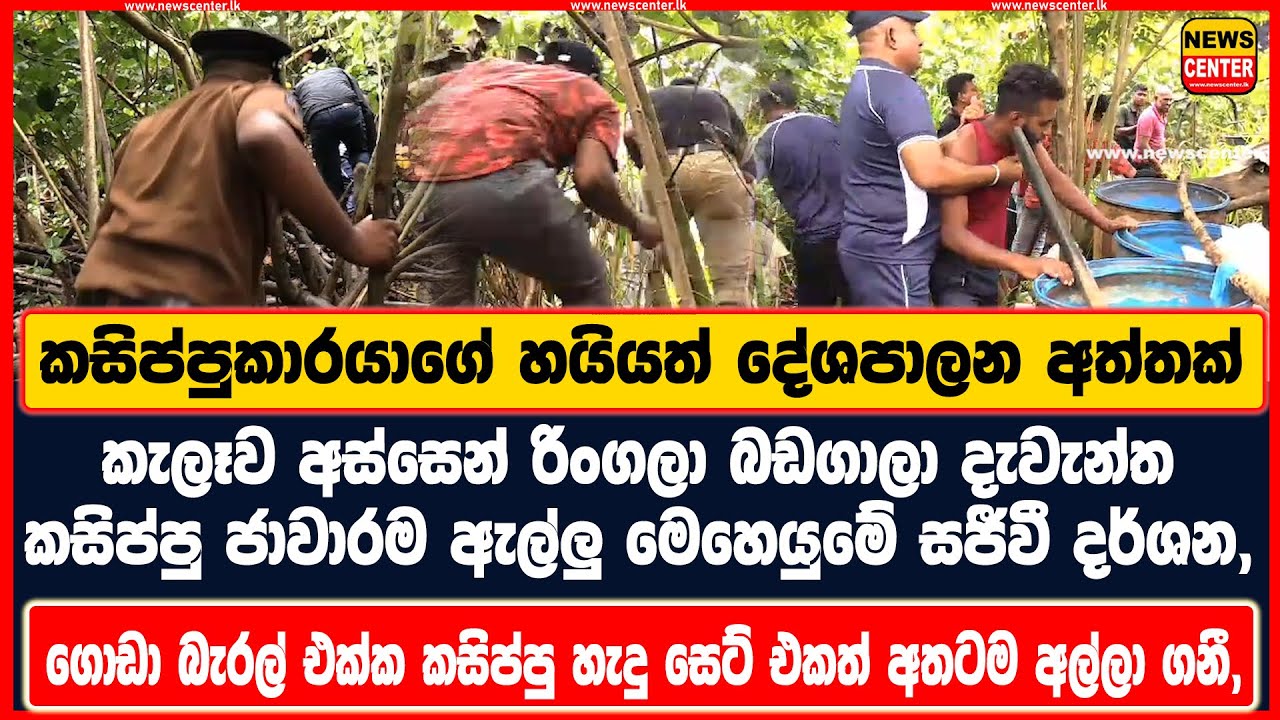 කැලෑව අස්සෙන් රිංගලා බඩගාලා දැවැන්ත කසිප්පු ජාවාරම ඇල්ලු මෙහෙයුමේ සජීවී දර්ශන